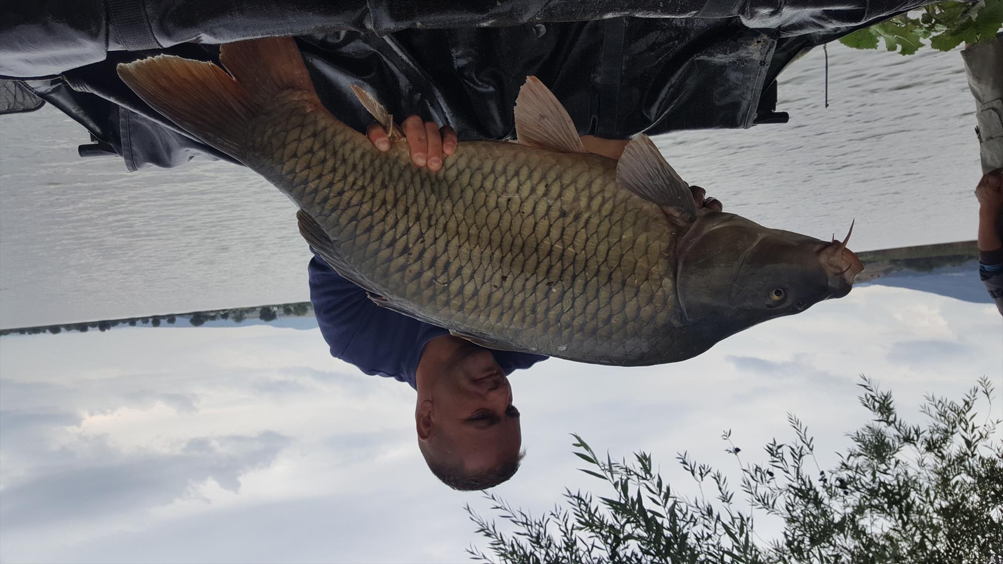 Cupa Doripesco 2017 - 20170814162750.jpg